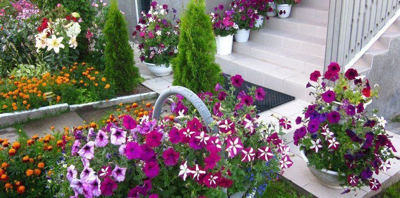 Нужно ли мыть рис перед варкой — советы опытных кулинаров для идеального блюда