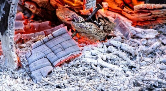 Зола в качестве удобрения: плюсы, минусы и правила применения для сада и огорода