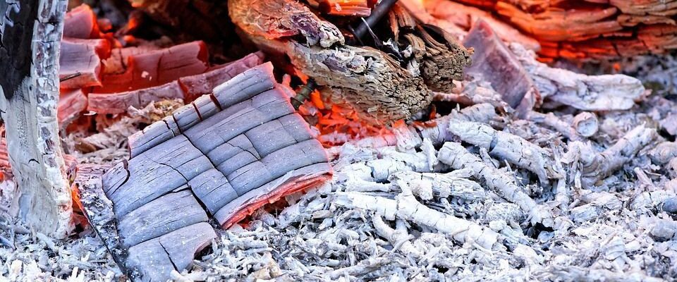 Зола в качестве удобрения: плюсы, минусы и правила применения для сада и огорода