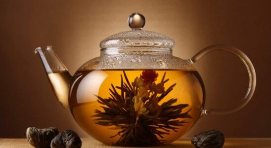 Как похудеть эффективно: сочетание белка и растительных волокон для идеальной фигуры