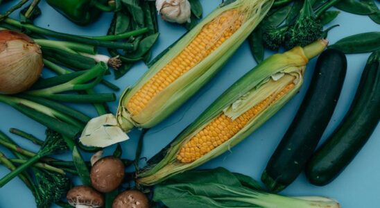 Какие овощи не стоит выращивать из своих семян: секреты агрономов