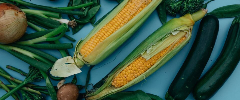 Какие овощи не стоит выращивать из своих семян: секреты агрономов