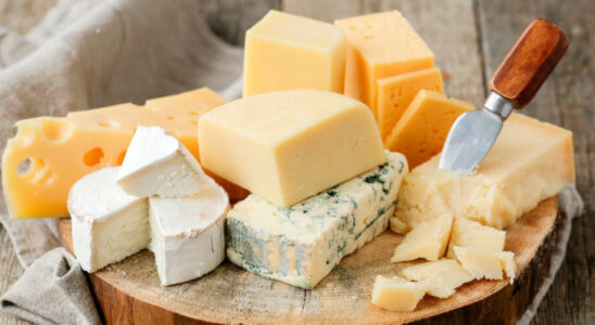Сыр: польза и вред для женского здоровья
