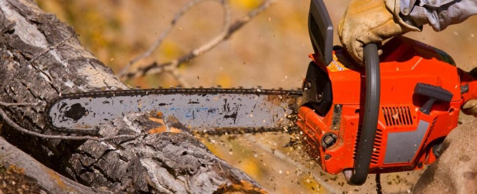 Как заточить цепь бензопилы своими руками: простой лайфхак для начинающих