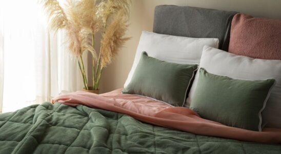 Как сделать фитодизайн дома: создаем флорариум своими руками с фото