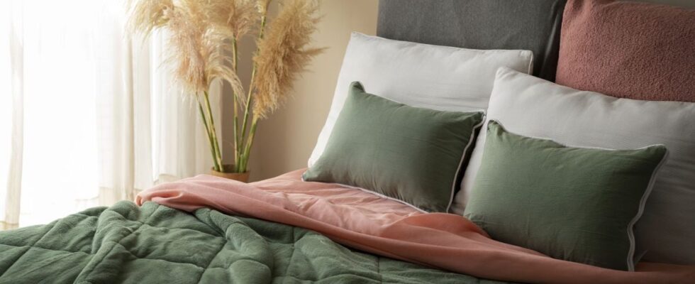 Как сделать фитодизайн дома: создаем флорариум своими руками с фото