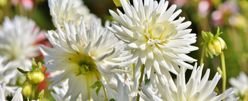 Простые советы, как сократить расходы и начать экономить уже сегодня