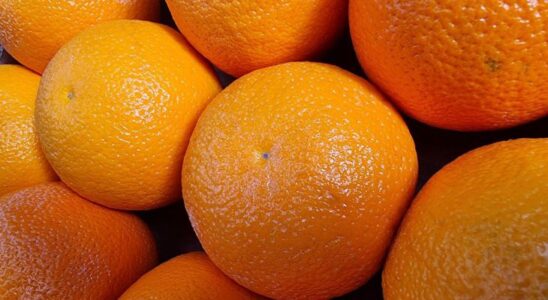 Апельсиновая кожура: неожиданные лайфхаки для дома, которые изменят вашу жизнь