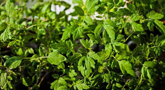 Как не замерзнуть на улице зимой: проверенные советы и лайфхаки для женщин