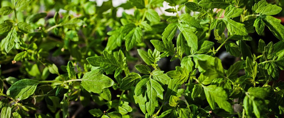 Как не замерзнуть на улице зимой: проверенные советы и лайфхаки для женщин