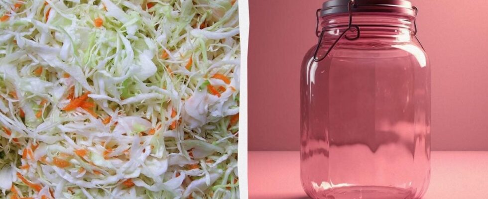 Главные ошибки при квашении капусты: как избежать испорченного продукта