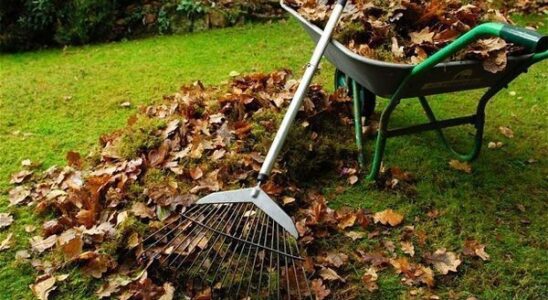 Осенние работы в саду и огороде: советы для женщин