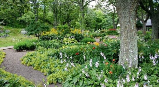 Что нужно сделать в саду в июне: полезные лайфхаки для ухода за участком