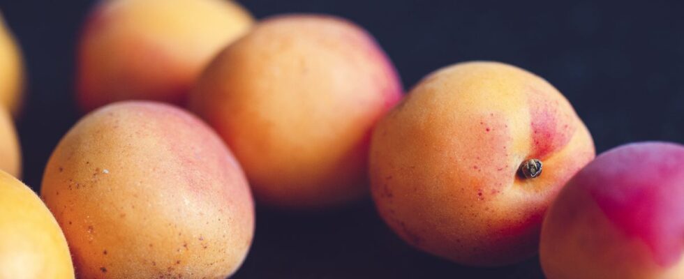 Персик или нектарин: как выбрать и в чем отличия