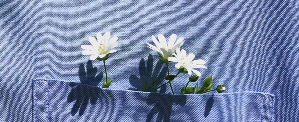 Именины 25 сентября: как поздравить и кого чествуют