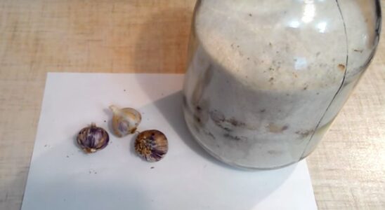 Как сохранить чеснок зимой: 3 необычных метода хранения