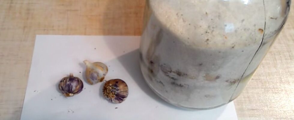 Как сохранить чеснок зимой: 3 необычных метода хранения