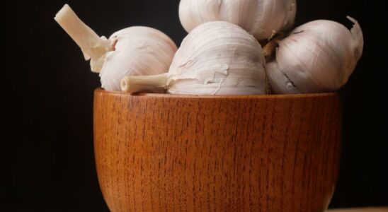 Лайфхаки для огорода: как подкормить чеснок в июне для богатого урожая