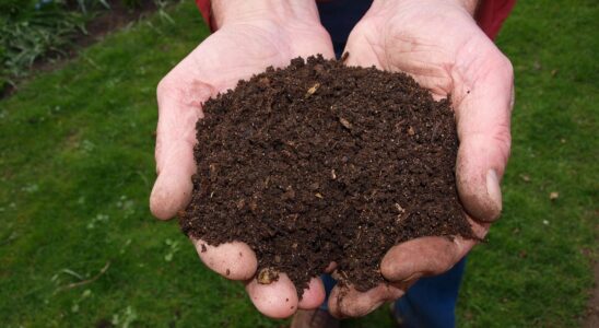 Компост своими руками: полезные советы для дома и сада