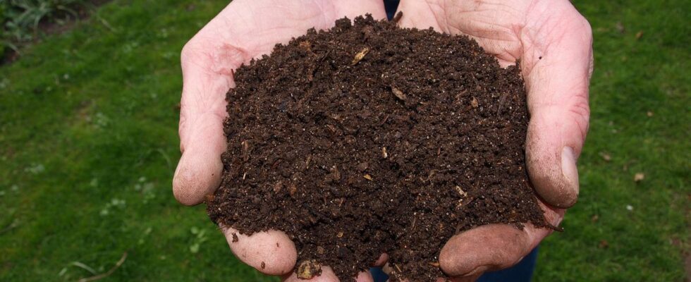 Компост своими руками: полезные советы для дома и сада