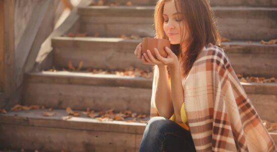 Чай против старения: 6 напитков для молодости и здоровья