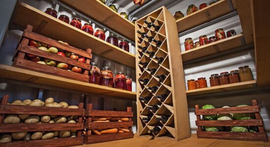 Как сохранить урожай: секреты долгой свежести овощей и фруктов