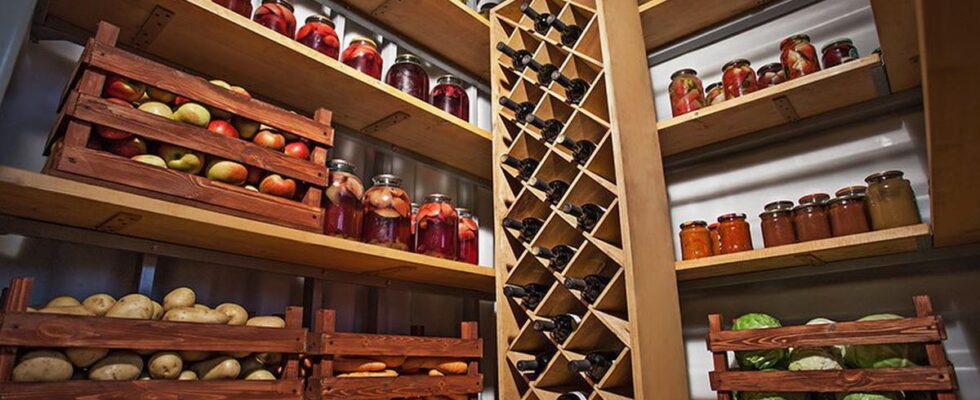 Как сохранить урожай: секреты долгой свежести овощей и фруктов