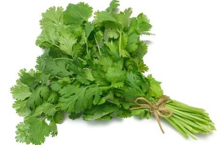 Как вырастить зелень дома: секреты и лайфхаки