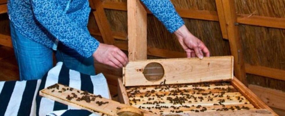 Лечебное ложе в пирамиде: уникальный способ оздоровления для женщин