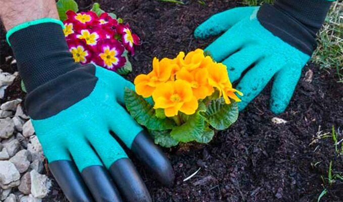 Лайфхаки для дачи: как выбрать идеальные садовые перчатки