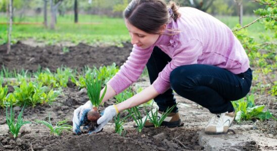 7 лайфхаков для легкой работы в саду и огороде