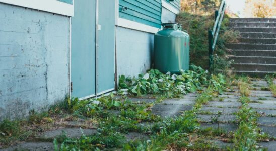 Как избавиться от травы между плиткой: проверенные методы для вашего сада