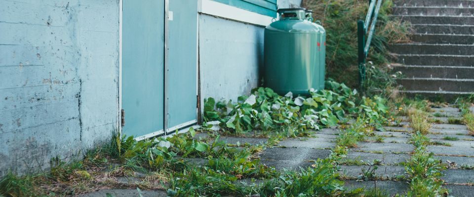 Как избавиться от травы между плиткой: проверенные методы для вашего сада