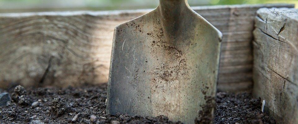 Лайфхаки для сада: как улучшить глинистый грунт и получить пышный урожай