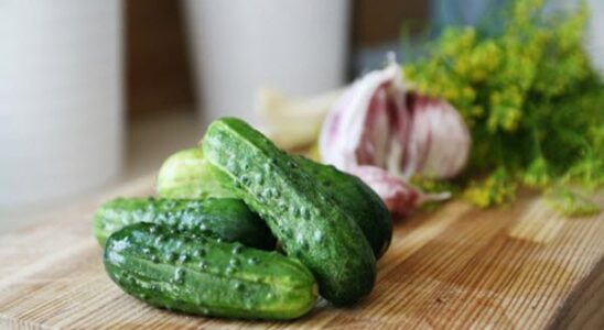 Уникальные свойства огурцов для здоровья: почему этот овощ так полезен