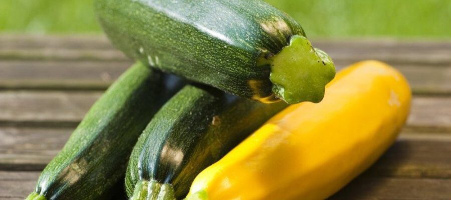 Как сделать фитодизайн дома: создаем флорариум своими руками с фото