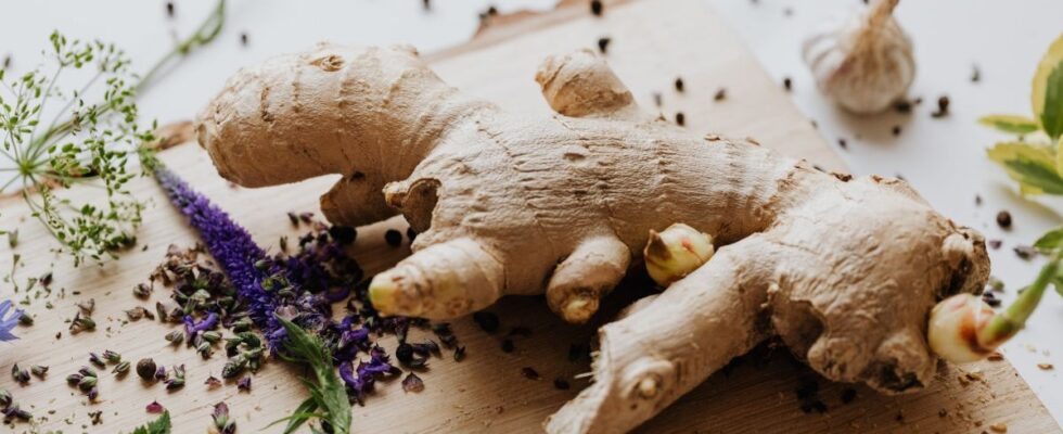 Секреты хранения имбиря: 3 проверенных лайфхака для дома