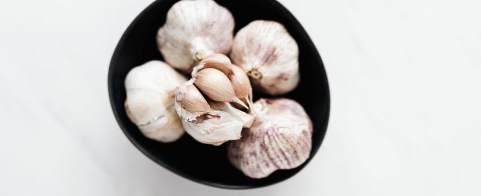 Как выбрать чеснок: 4 признака, чтобы не ошибиться