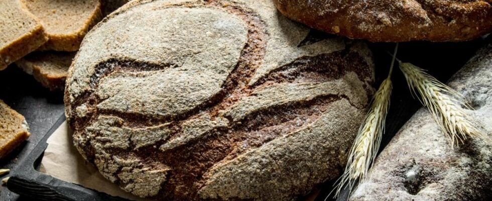 Как сохранить свежесть хлеба летом: проверенные советы