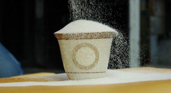 Как избавиться от муравьев на даче: проверенные народные средства