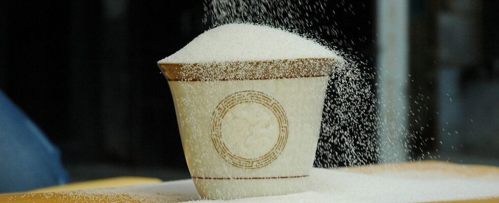 Как избавиться от муравьев на даче: проверенные народные средства