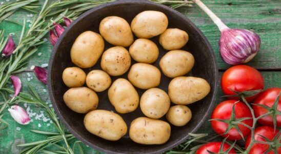 Кому вредят картофель и помидоры: мнение врачей для женщин