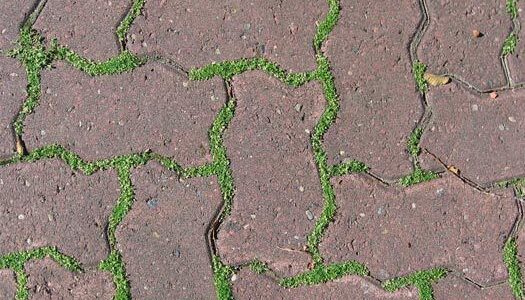 Лайфхаки для дома: избавимся от сорняков между плитками и камнями навсегда