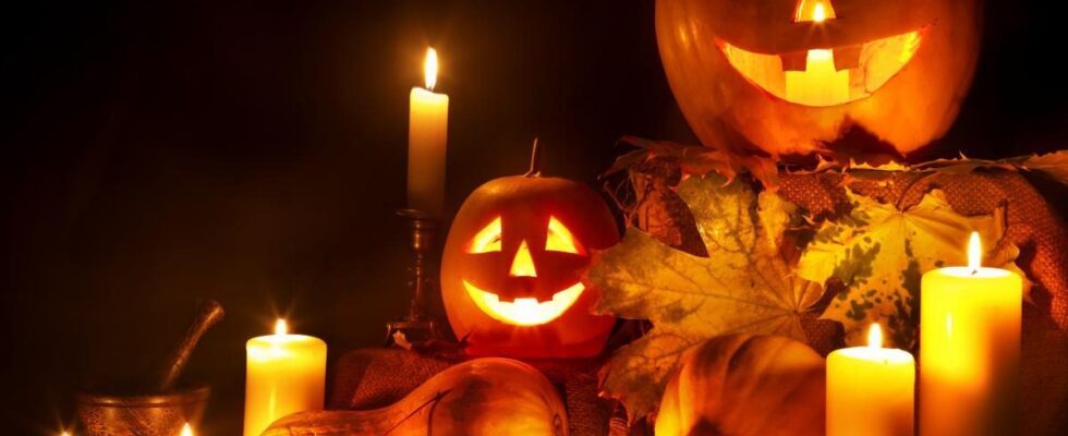 Лайфхаки: как сделать идеальную тыкву на Хэллоуин своими руками