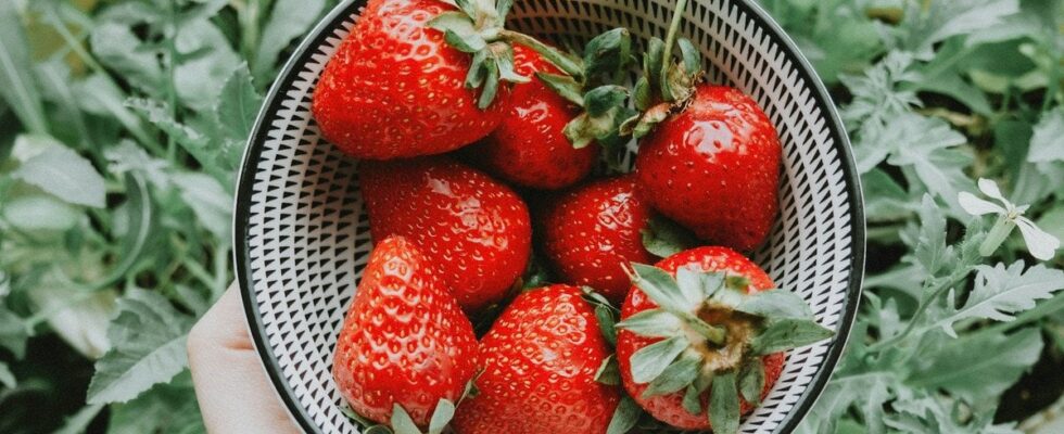 Секреты сладкой клубники: натуральные удобрения для медового вкуса